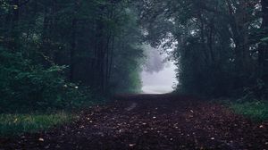 Preview wallpaper forest, path, fog, trees, gloomy