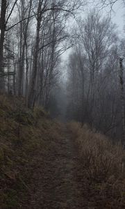 Preview wallpaper forest, path, fog, trees, nature
