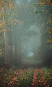 Preview wallpaper forest, path, fog, autumn