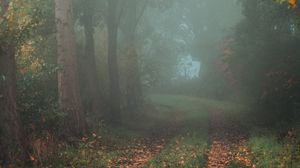 Preview wallpaper forest, path, fog, autumn