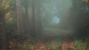 Preview wallpaper forest, path, fog, autumn