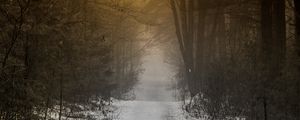 Preview wallpaper forest, path, fog, snow, nature