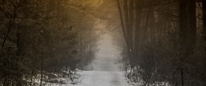 Preview wallpaper forest, path, fog, snow, nature