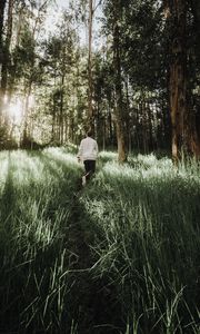 Preview wallpaper forest, path, man, grass, trees, sunlight