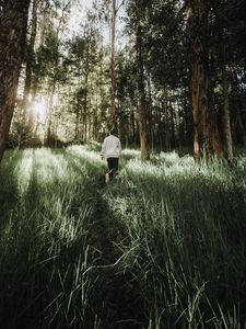 Preview wallpaper forest, path, man, grass, trees, sunlight