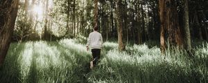 Preview wallpaper forest, path, man, grass, trees, sunlight