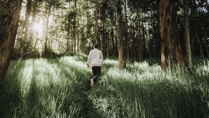 Preview wallpaper forest, path, man, grass, trees, sunlight