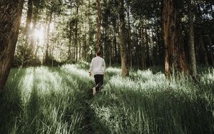 Preview wallpaper forest, path, man, grass, trees, sunlight