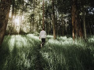 Preview wallpaper forest, path, man, grass, trees, sunlight