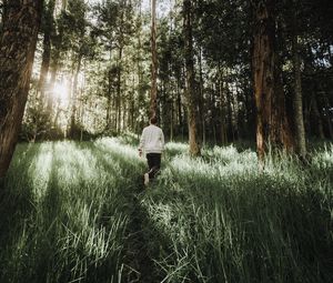 Preview wallpaper forest, path, man, grass, trees, sunlight