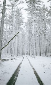 Preview wallpaper forest, path, snow, trees, winter