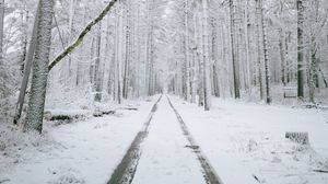 Preview wallpaper forest, path, snow, trees, winter