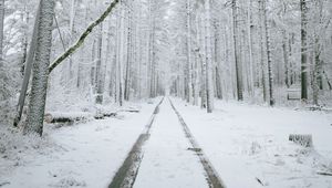 Preview wallpaper forest, path, snow, trees, winter