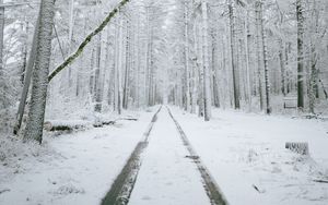 Preview wallpaper forest, path, snow, trees, winter