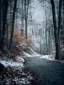 Preview wallpaper forest, path, snow, trees, winter, nature