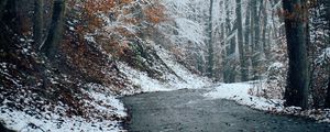 Preview wallpaper forest, path, snow, trees, winter, nature