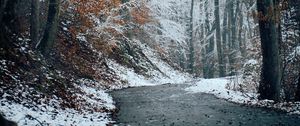 Preview wallpaper forest, path, snow, trees, winter, nature