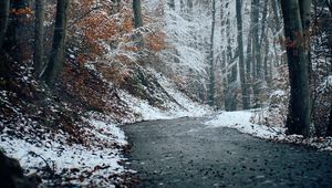 Preview wallpaper forest, path, snow, trees, winter, nature