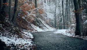 Preview wallpaper forest, path, snow, trees, winter, nature