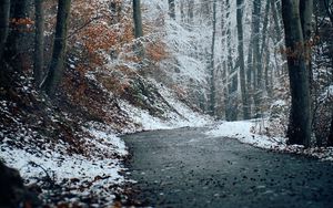 Preview wallpaper forest, path, snow, trees, winter, nature