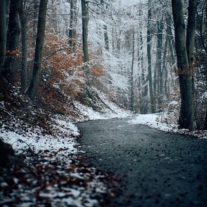 Preview wallpaper forest, path, snow, trees, winter, nature