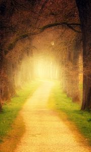 Preview wallpaper forest, path, sunlight