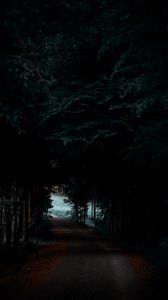 Preview wallpaper forest, path, trees, dark, shadow