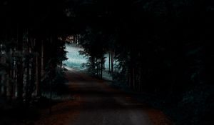 Preview wallpaper forest, path, trees, dark, shadow