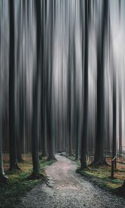 Preview wallpaper forest, path, trees, blur, illusion