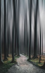 Preview wallpaper forest, path, trees, blur, illusion