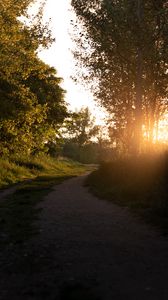 Preview wallpaper forest, path, trees, rays, sunset