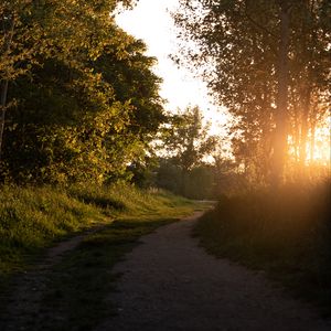 Preview wallpaper forest, path, trees, rays, sunset