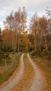 Preview wallpaper forest, path, trees, leaves, autumn, landscape