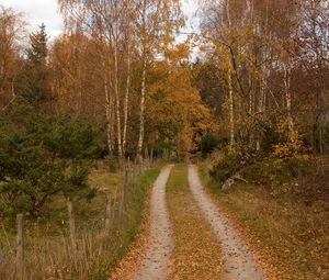 Preview wallpaper forest, path, trees, leaves, autumn, landscape