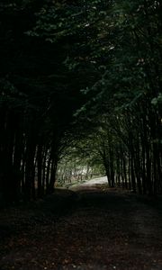 Preview wallpaper forest, path, tunnel, dark, trees