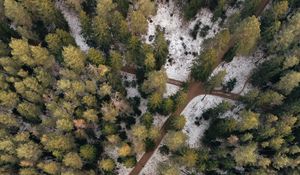Preview wallpaper forest, paths, aerial view, trees, snow