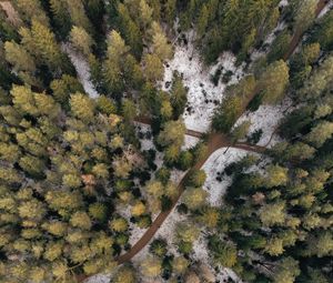 Preview wallpaper forest, paths, aerial view, trees, snow