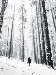 Preview wallpaper forest, person, alone, snow, winter, walk