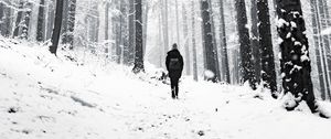 Preview wallpaper forest, person, alone, snow, winter, walk
