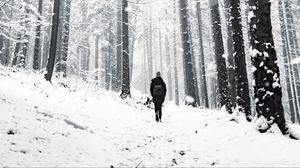 Preview wallpaper forest, person, alone, snow, winter, walk
