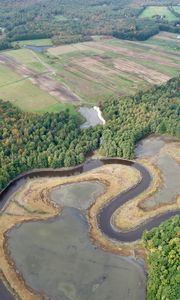 Preview wallpaper forest, pond, fields, aerial view, landscape