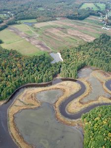 Preview wallpaper forest, pond, fields, aerial view, landscape