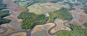 Preview wallpaper forest, pond, fields, aerial view, landscape