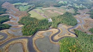 Preview wallpaper forest, pond, fields, aerial view, landscape