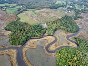 Preview wallpaper forest, pond, fields, aerial view, landscape