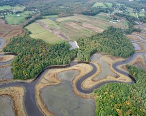 Preview wallpaper forest, pond, fields, aerial view, landscape