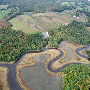 Preview wallpaper forest, pond, fields, aerial view, landscape