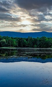 Preview wallpaper forest, pond, mountains, reflection, clouds, sky, landscape