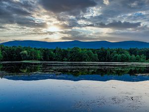 Preview wallpaper forest, pond, mountains, reflection, clouds, sky, landscape