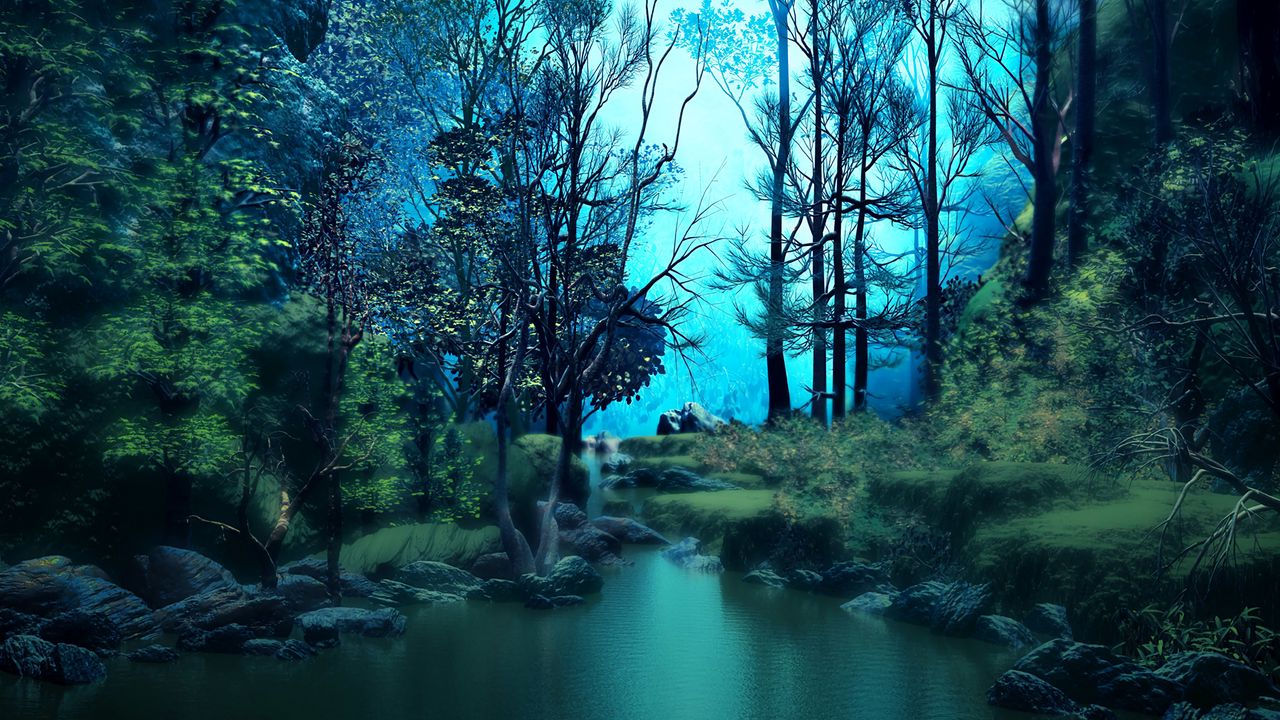Wallpaper forest, pond, water, trees, art